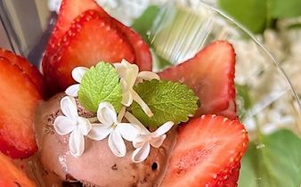 Syrenblommor som dekoration