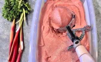 Hemlagad rabarbersorbet