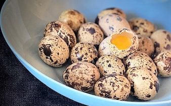 Tre variationer på vaktelägg